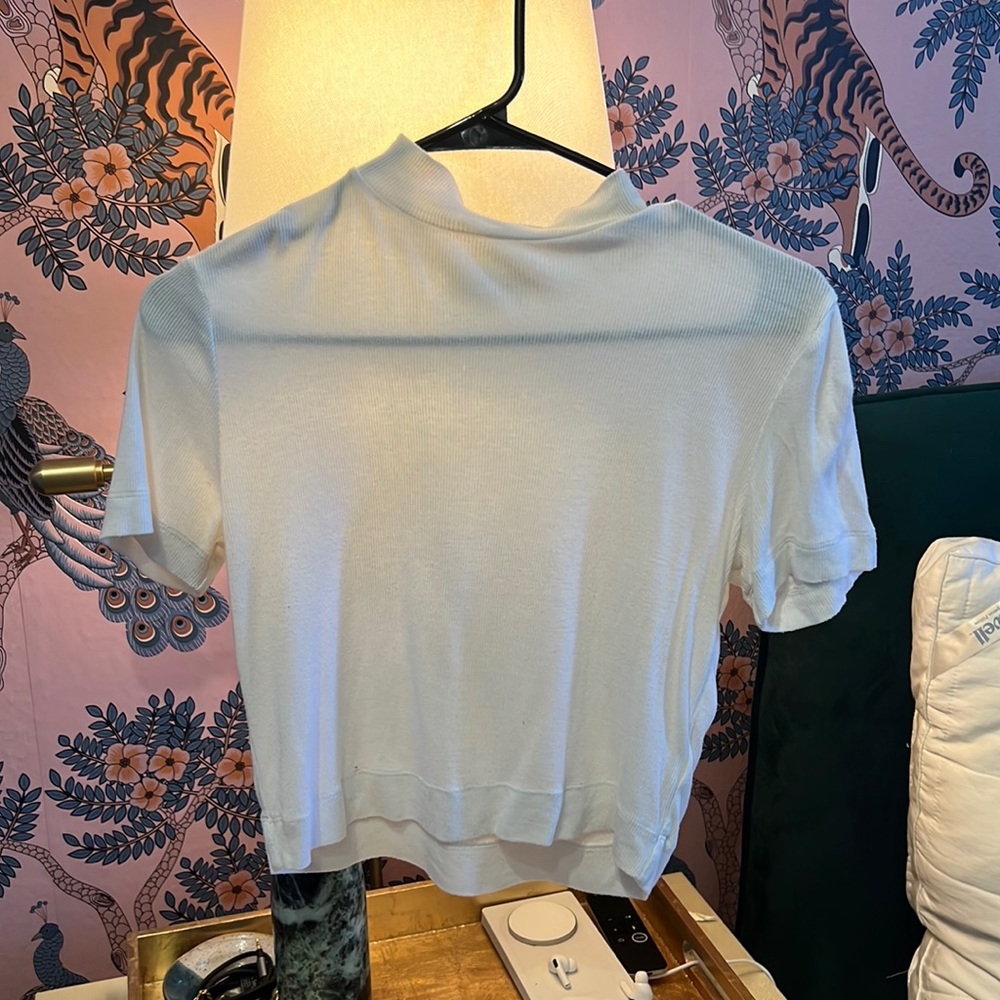 Aritzia Babaton Mock Neck Crop top